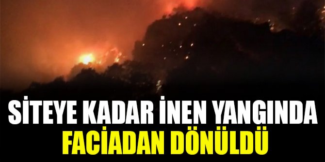Siteye kadar inen yangında faciadan dönüldü