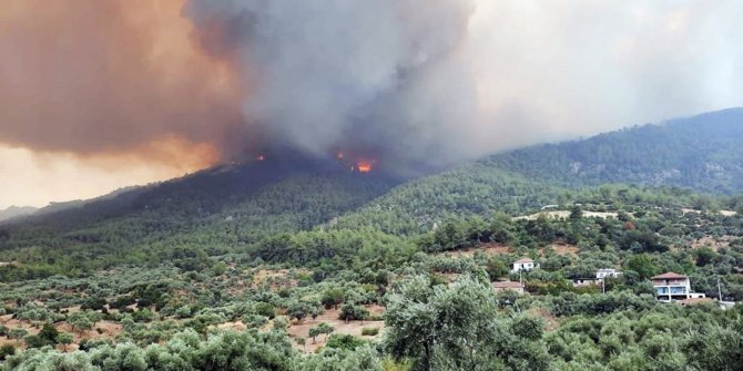 Bakanlar Kurum ile Karaismailoğlu yangından hasar gören yerleşim yerlerini inceledi