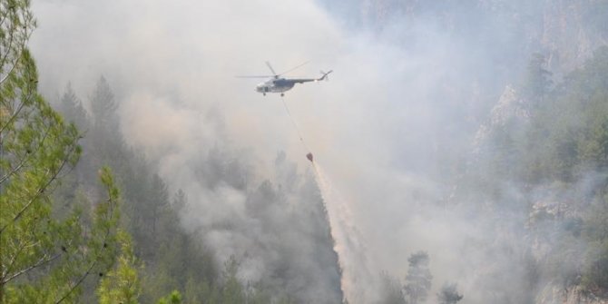 Kuvajt šalje vatrogasce za pomoć u gašenju šumskih požara u Turskoj