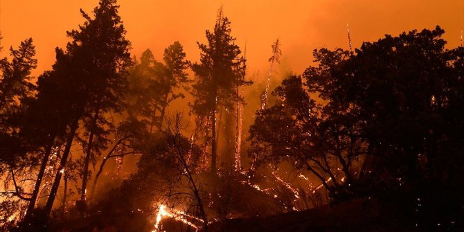 Dünya genelinde orman yangınları ile mücadele devam ediyor