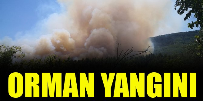 Orman yangını