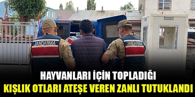 Hayvanları için topladığı kışlık otları ateşe veren zanlı tutuklandı