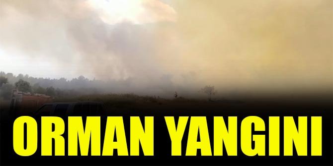 Orman yangını