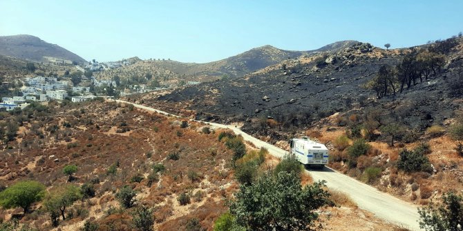 Bodrum'daki yangında 20 hektar makilik alan yandı