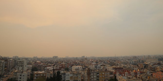 Orman yangınının külleri şehire ulaştı