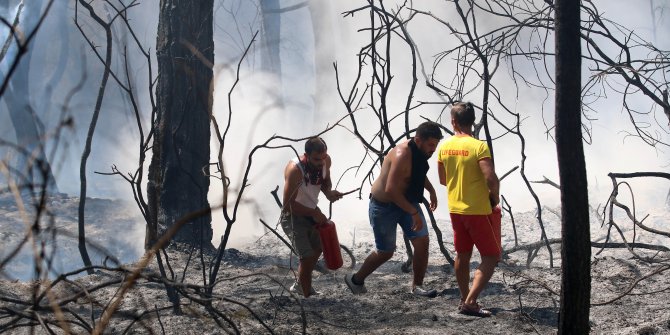 Manavgat'ta orman yangını