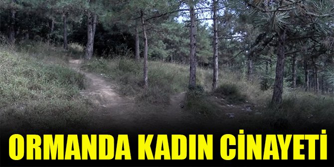 Ormanda kadın cinayeti