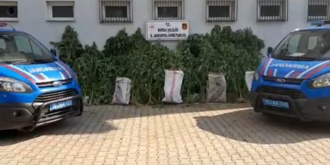 Zehir tacirlerine jandarmadan operasyon