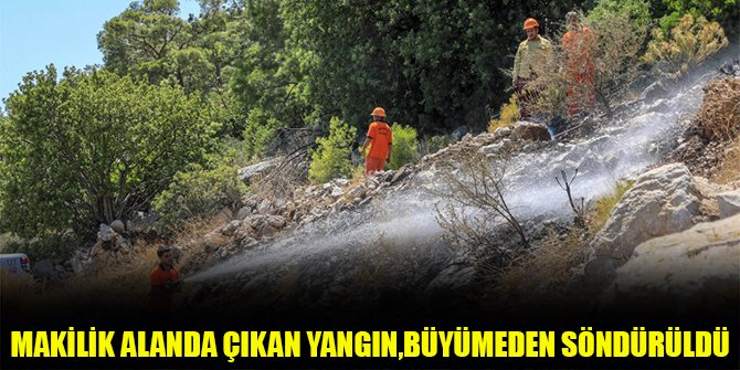 Makilik alanda çıkan yangın, büyümeden söndürüldü