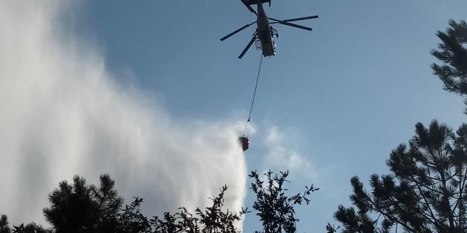 Bursa'da ormanlık alanda yangın