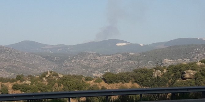 Muğla’da orman yangını