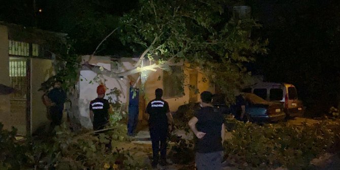 Ağacın üzerine devrildiği otomobil hasar gördü