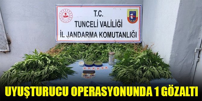 Uyuşturucu operasyonunda 1 gözaltı