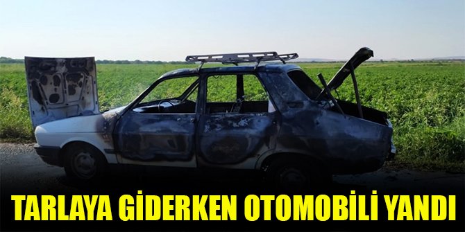 Tarlaya giderken otomobili yandı