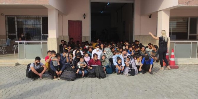 TIR'da meyve kasalarının arasından 85 düzensiz göçmen çıktı