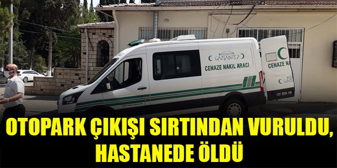 Otopark çıkışı sırtından vuruldu, hastanede öldü