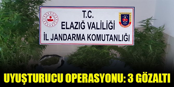 Uyuşturucu operasyonu: 3 gözaltı