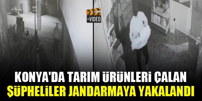Konya'da tarım ürünleri çalan şüpheliler jandarmaya yakalandı