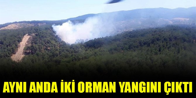 Aynı anda iki orman yangını çıktı