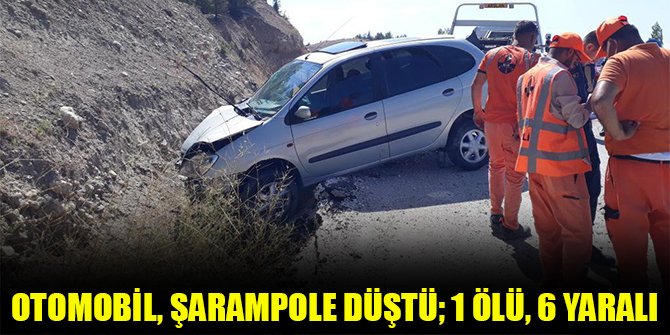 Otomobil, şarampole düştü; 1 ölü, 6 yaralı