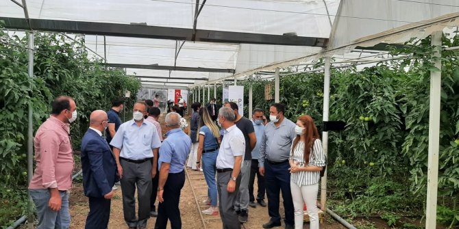 Bitki seralarında denetim yapıldı