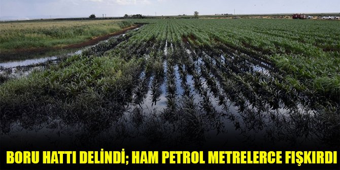 Boru hattı delindi; ham petrol metrelerce fışkırdı
