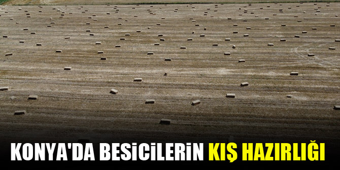 Konya'da besicilerin kış hazırlığı başladı
