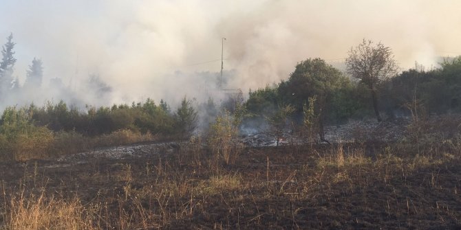 Yere attığı sigara izmariti otları yaktı, tutuklandı