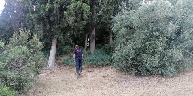 Ormanlık alanda yeniden çıkan yangını muhtar söndürdü