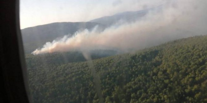 İzmir'de makilik alanda yangın