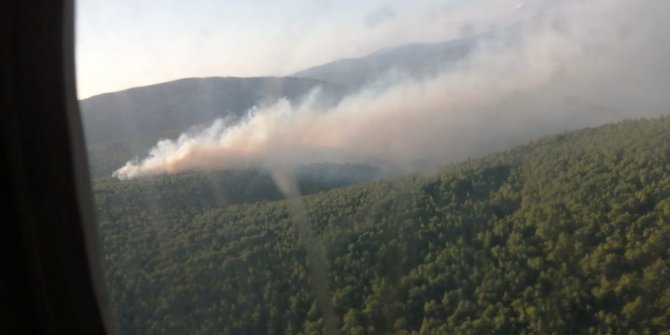 Çeşme'de orman yangını başladı