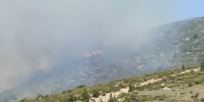 Orman yangınına 2 helikopterle havadan destek