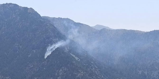 Kahramanmaraş’ta orman yangını