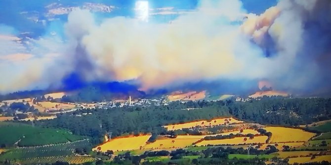 Orman yangını alevler gökyüzünü kapladı