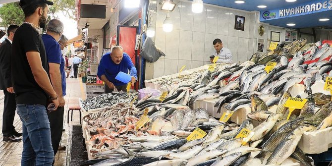 'Vira Bismillah' diyen balıkçıların avladığı balıklar tezgahları süsledi