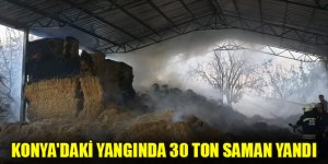 Konya'daki yangında 30 ton saman yandı