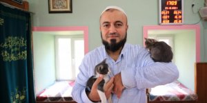 Ljubav prema životinjama: Efendija otvorio vrata džamije mačkama