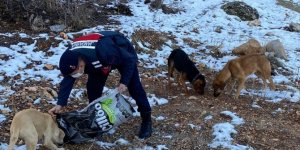 Konya'da kar yağışı nedeniyle yiyecek bulamayan sokak hayvanlarına jandarmadan yardım eli