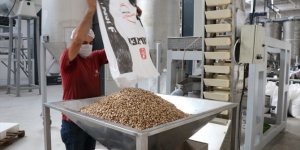 Siirt'ten Çin'e fıstık ihraç edildi