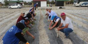 Karapınar'da organik tarım ve çilek yetiştiriciliği eğitimi veriliyor