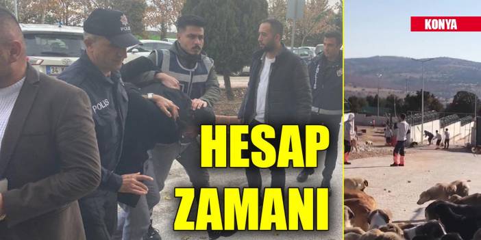 Konya'da köpeğin kürekle öldürülmesinde sanıklar hakim karşısında!