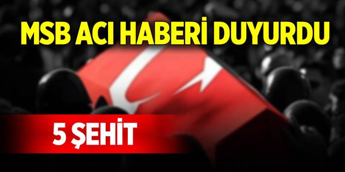 MSB acı haberi duyurdu: 5 şehit
