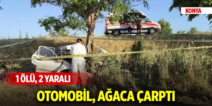 Konya'da otomobil, ağaca çarptı: 1 ölü, 2 yaralı