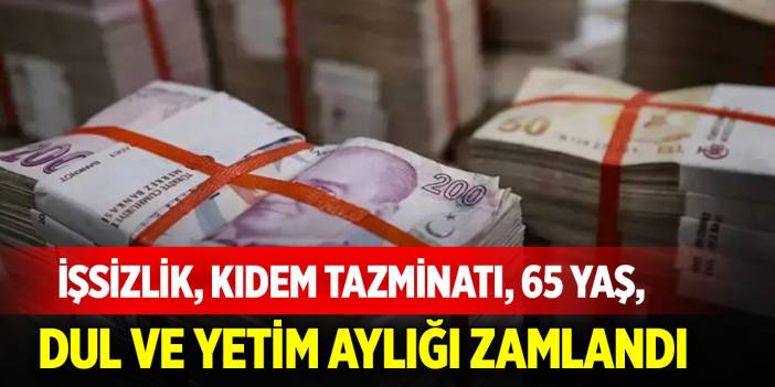 İşsizlik, kıdem tazminatı, 65 yaş, dul ve yetim aylığı zamlandı