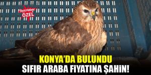 Konyada Bulundu Sıfır Araba Fiyatına şahin