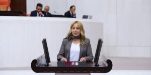 Konya Milletvekili MHP’li Esin Kara’dan Pakdemirli’ye soru önergesi