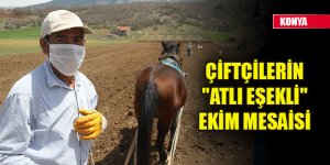 Konya'da çiftçilerin "atlı eşekli" fasulye ekimi mesaisi