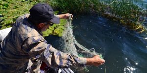 Doğa gönüllüsü, Beşgöz Gölü'ndeki kaçak balık ağlarını imha ediyor