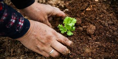 Tarımda Kadın Emeği Zirvesi başlıyor