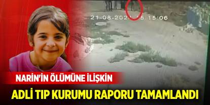 Narin Güran'ın ölümüne ilişkin Adli Tıp Kurumu raporu tamamlandı